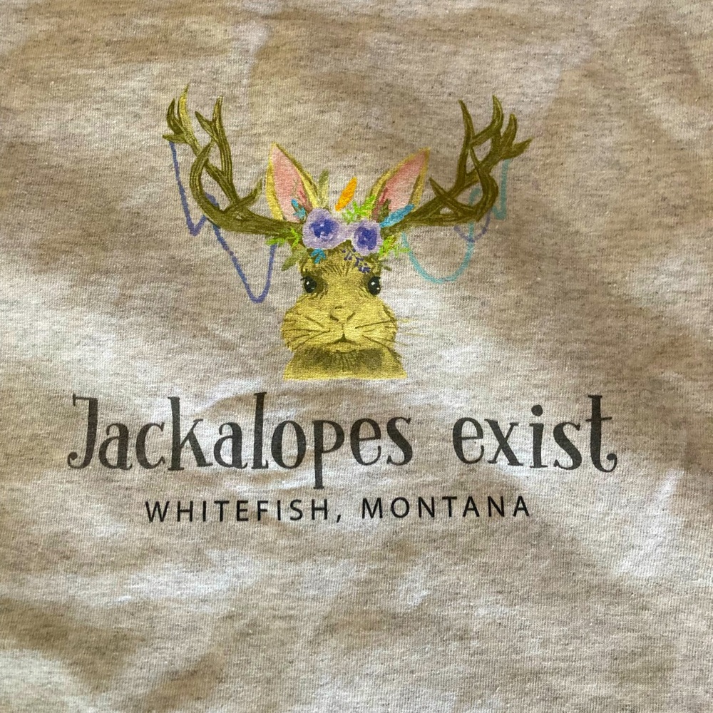 Graphic T-shirt. Montana. Size M Heather grey
